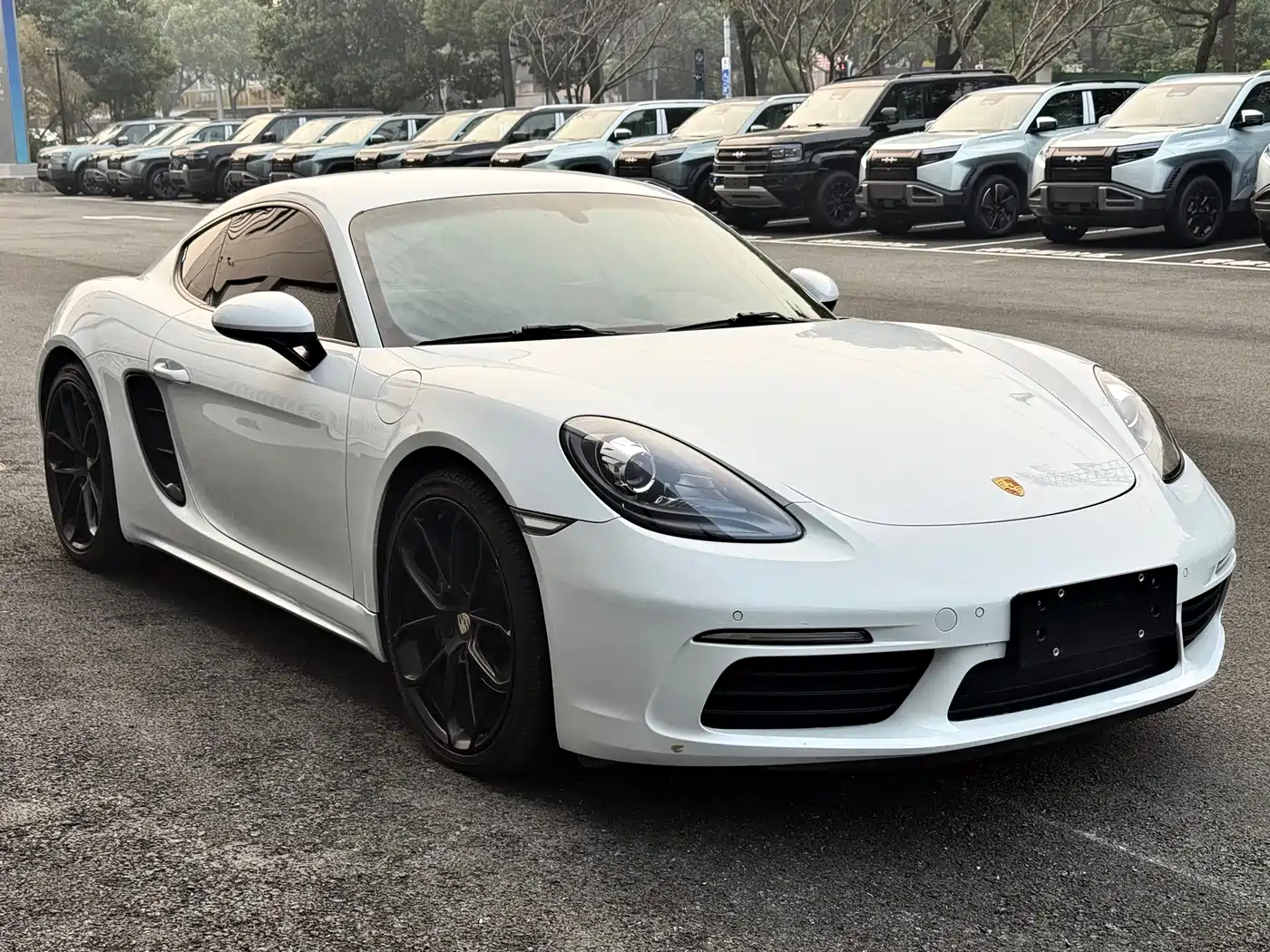 Porsche 718 2018 Cayman 2.0T фото 3