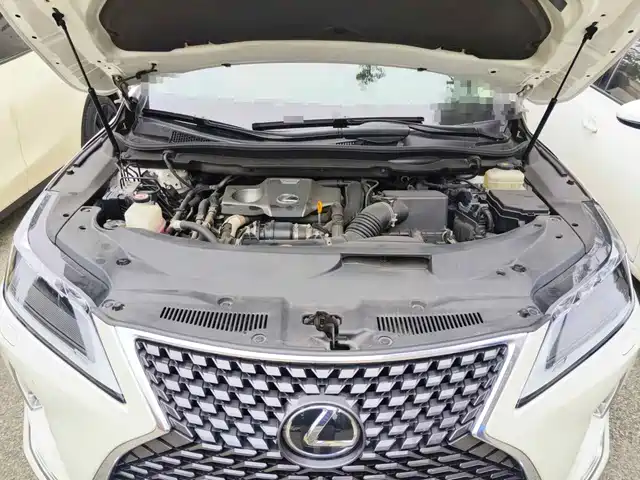 Lexus RX 2020 Facelift 300 AWD Elegance Edition — фото 3