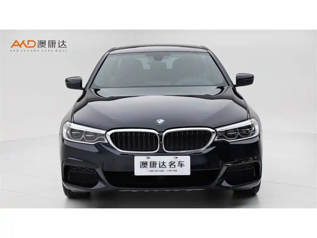 BMW 5 Series 2020 530Li Exclusive M Sport Package фото 2