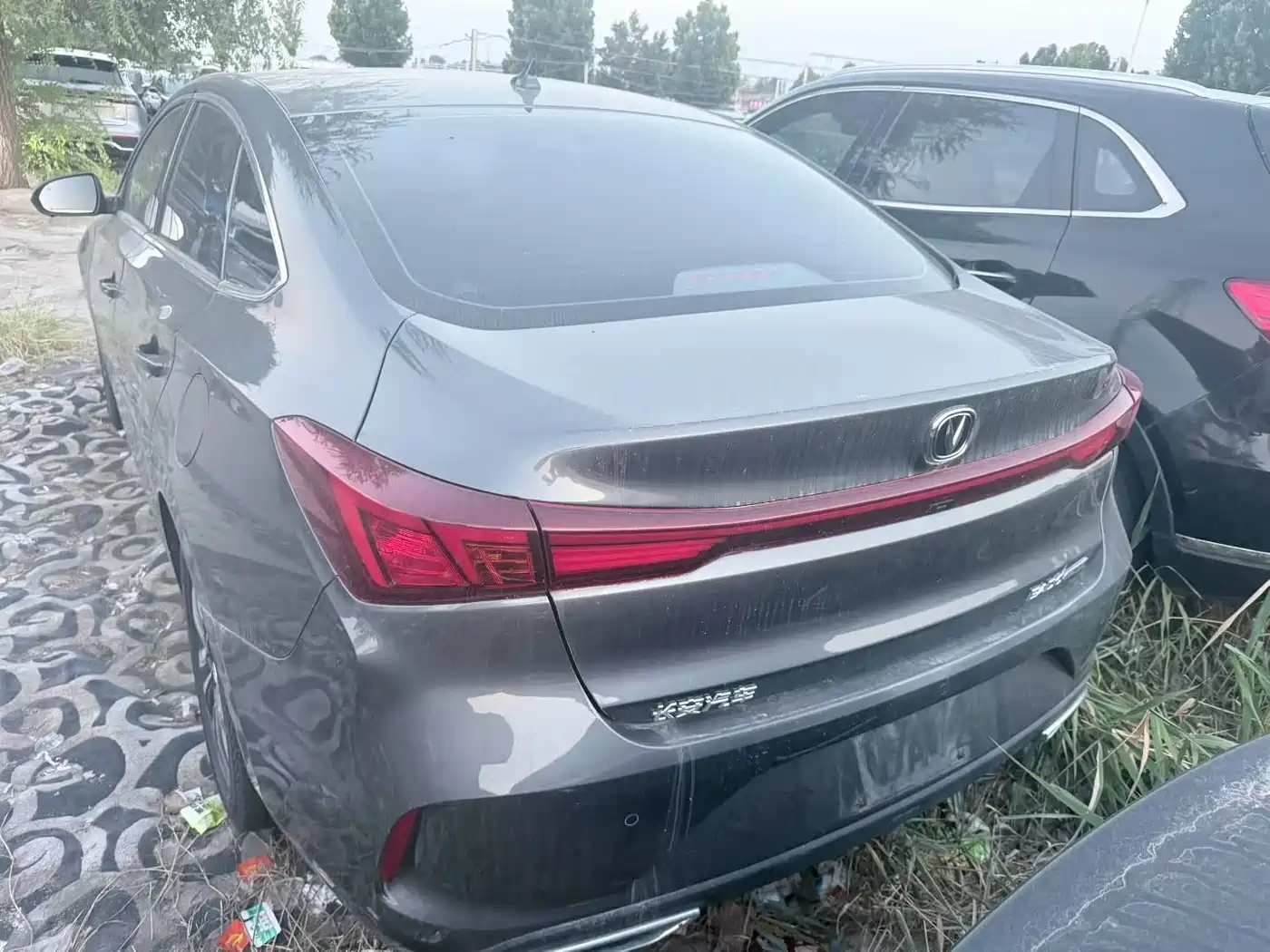 Changan Eado 2025 2023 Enjoy Edition PLUS Blue Whale NE 1.4T GDI DCT Premium Edition