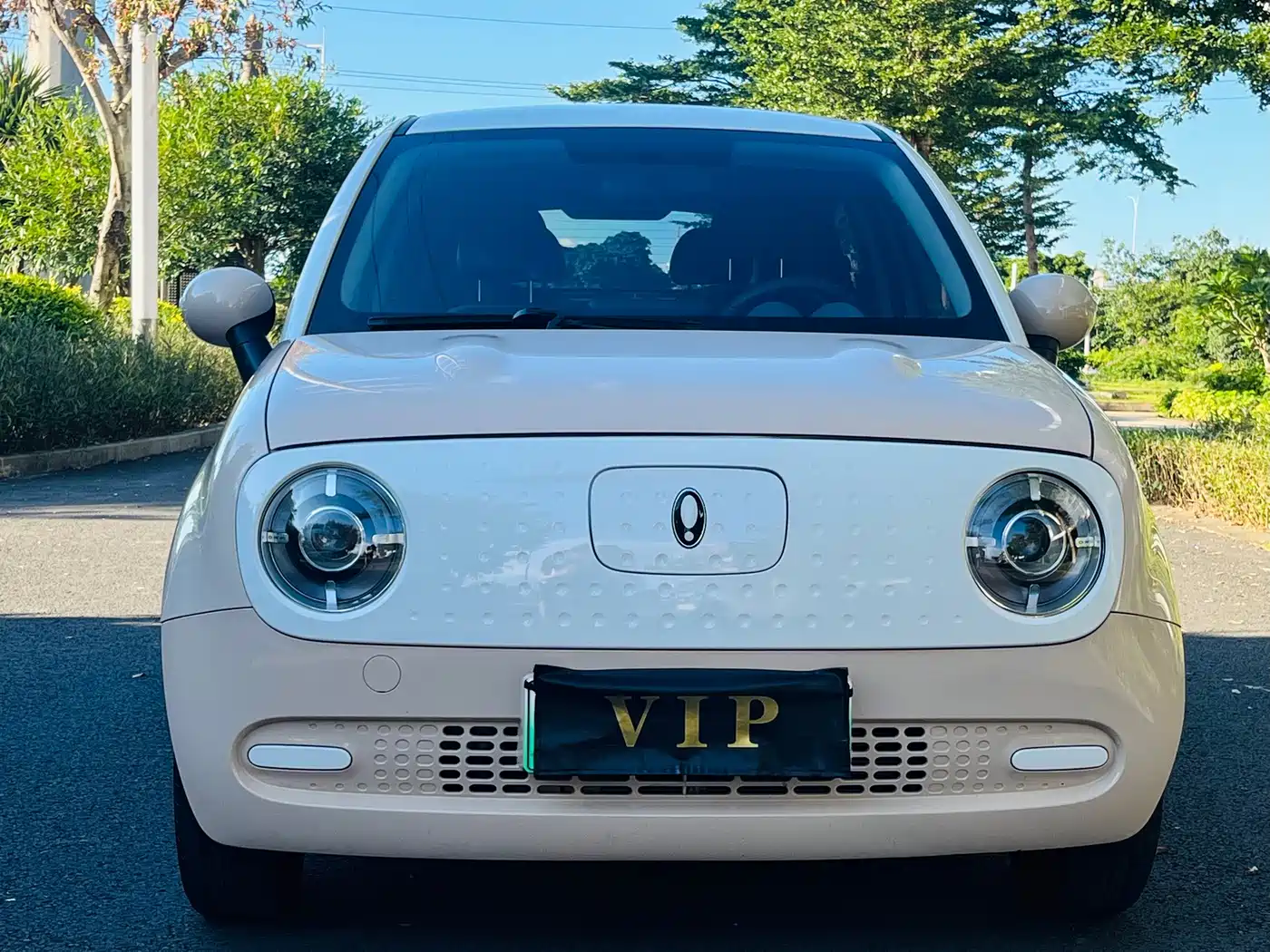 Ora Black Cat 2022 2022 301km Cute Pet Edition (LFP)
