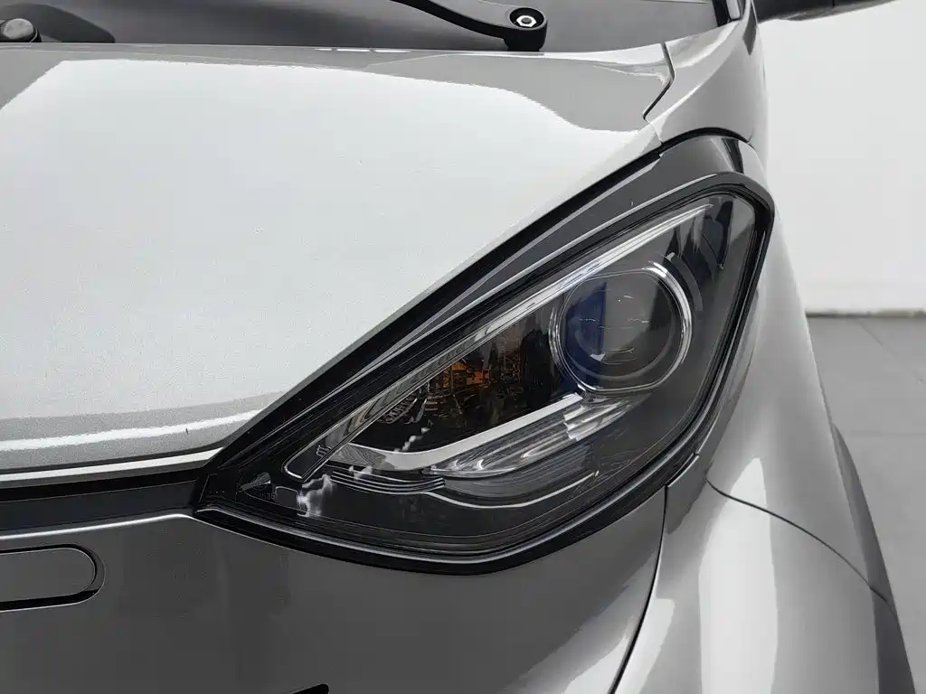 Baojun E100 2021 2020 305KM Intelligent Edition