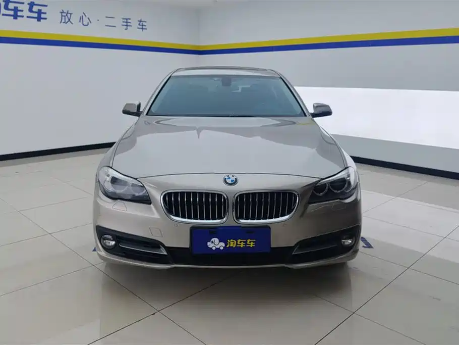 BMW 5 Series 2014 520Li Elegance фото 2