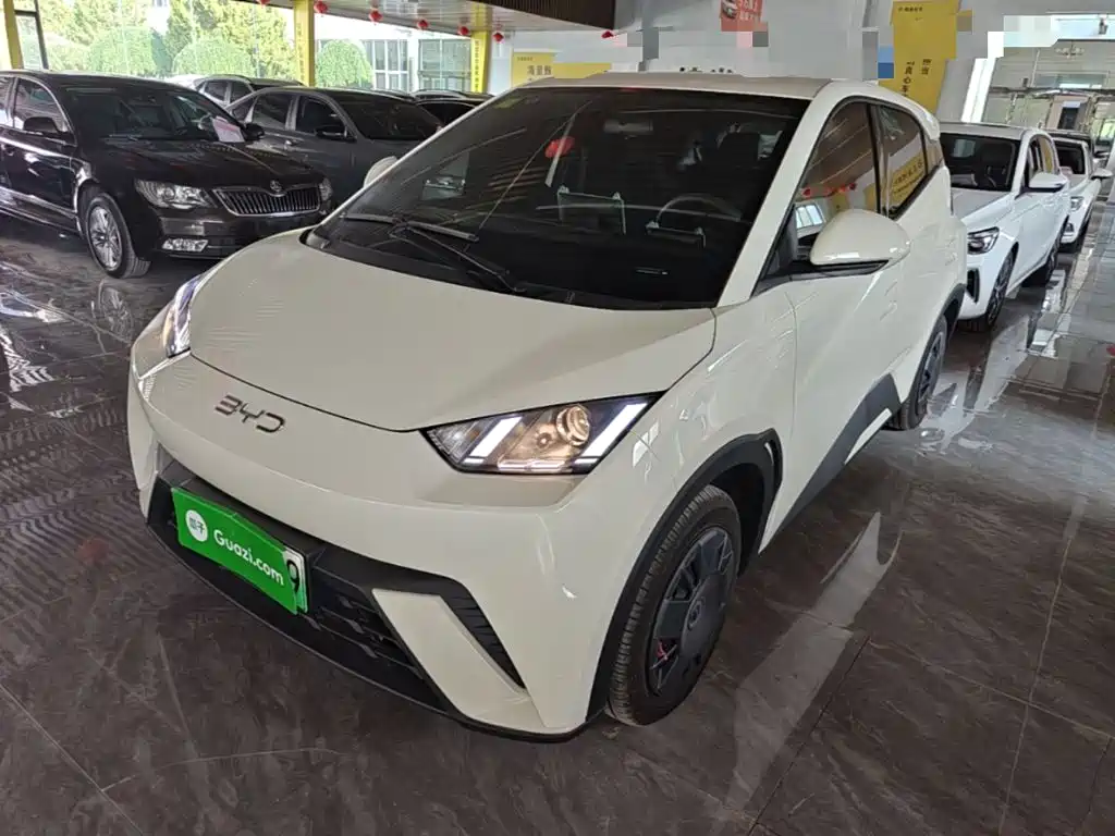 BYD Seagull 2025
