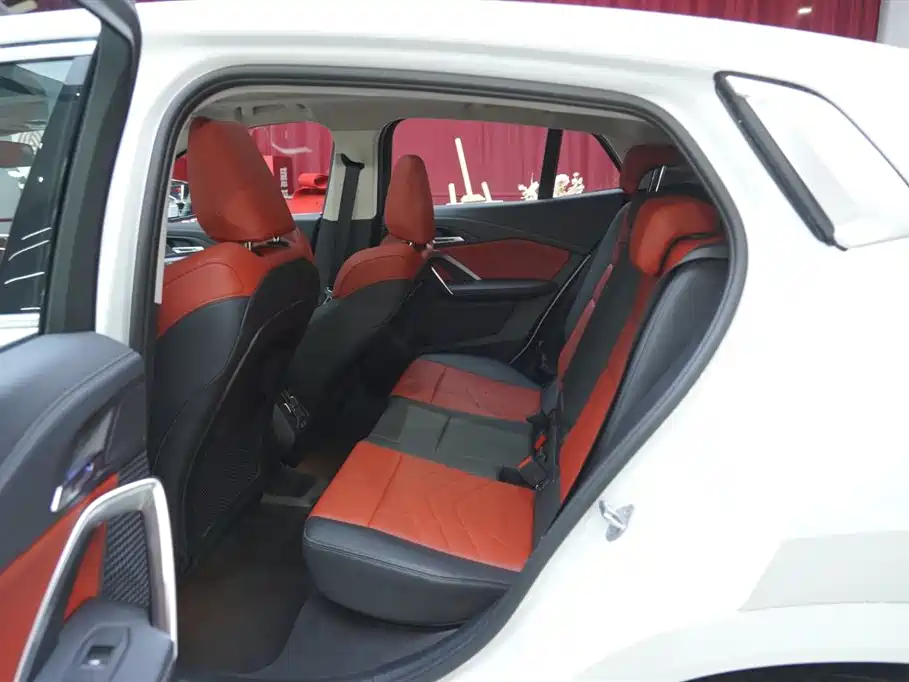 BMW X2 (Import) 2024 sDrive25i M Sport Package фото 17