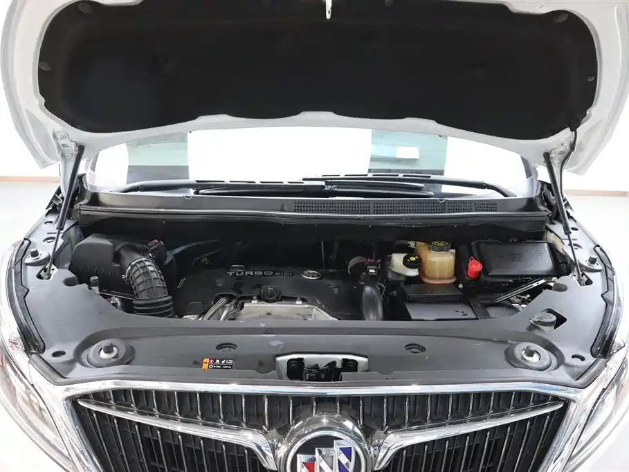 Buick GL8 2018 ES 28T Luxury Type China VI фото 28