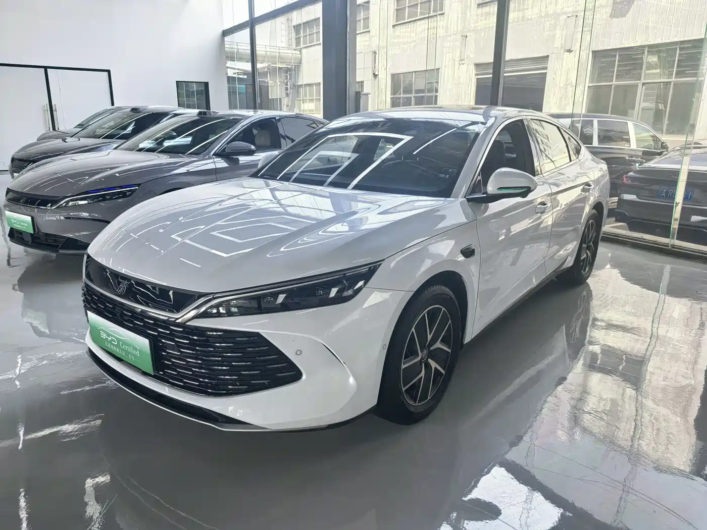 BYD QIN L
