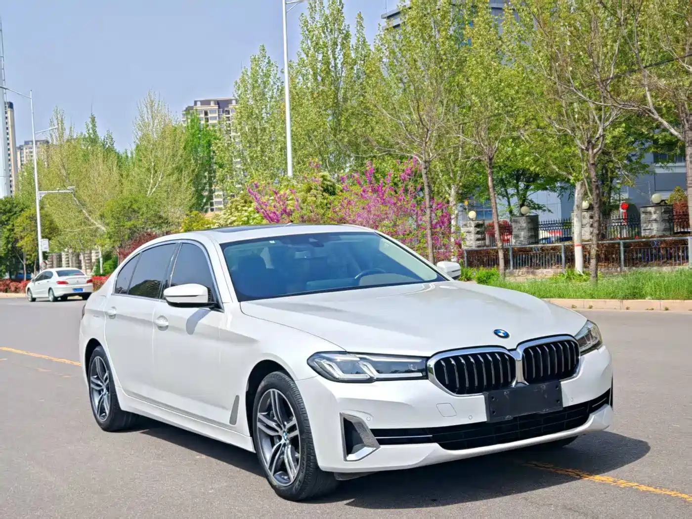 BMW 5 Series 2022 Facelift 530Li Leading Luxury Package фото 4