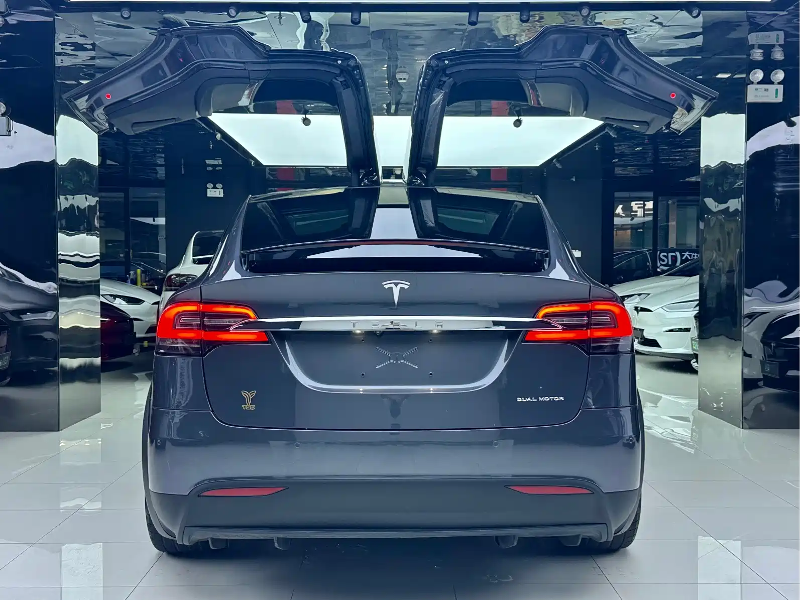 Фото 13 - Tesla Model X