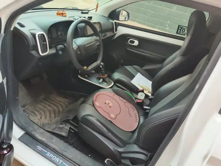 Roewe Clever 2023 2022 311km Vitality Bobo Edition