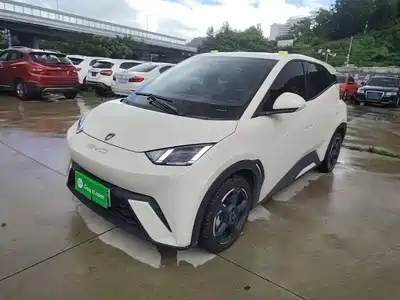 BYD Seagull