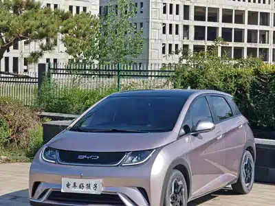 BYD Dolphin