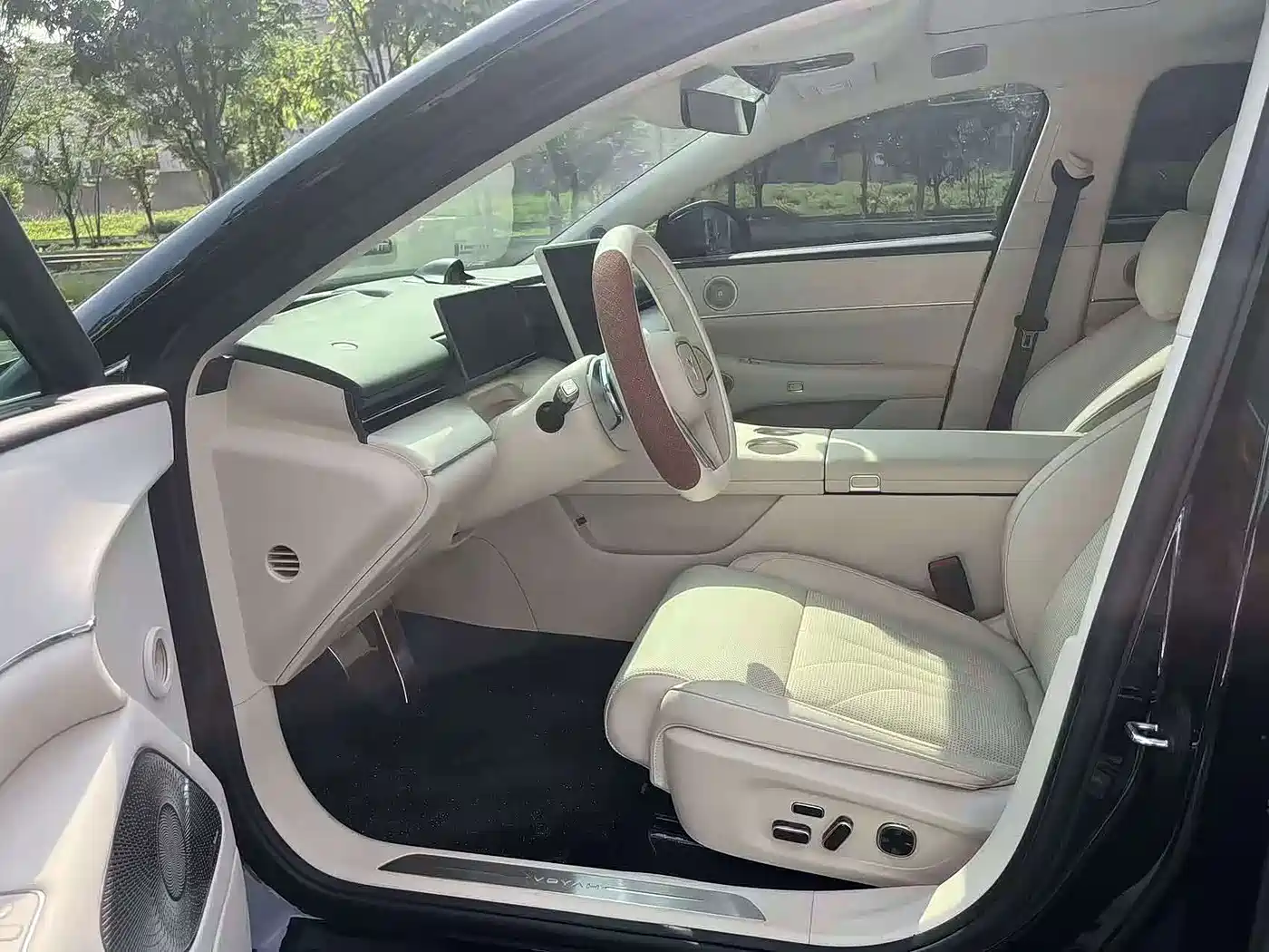 2025 Voyah Auto VOYAH Zhuiguang L