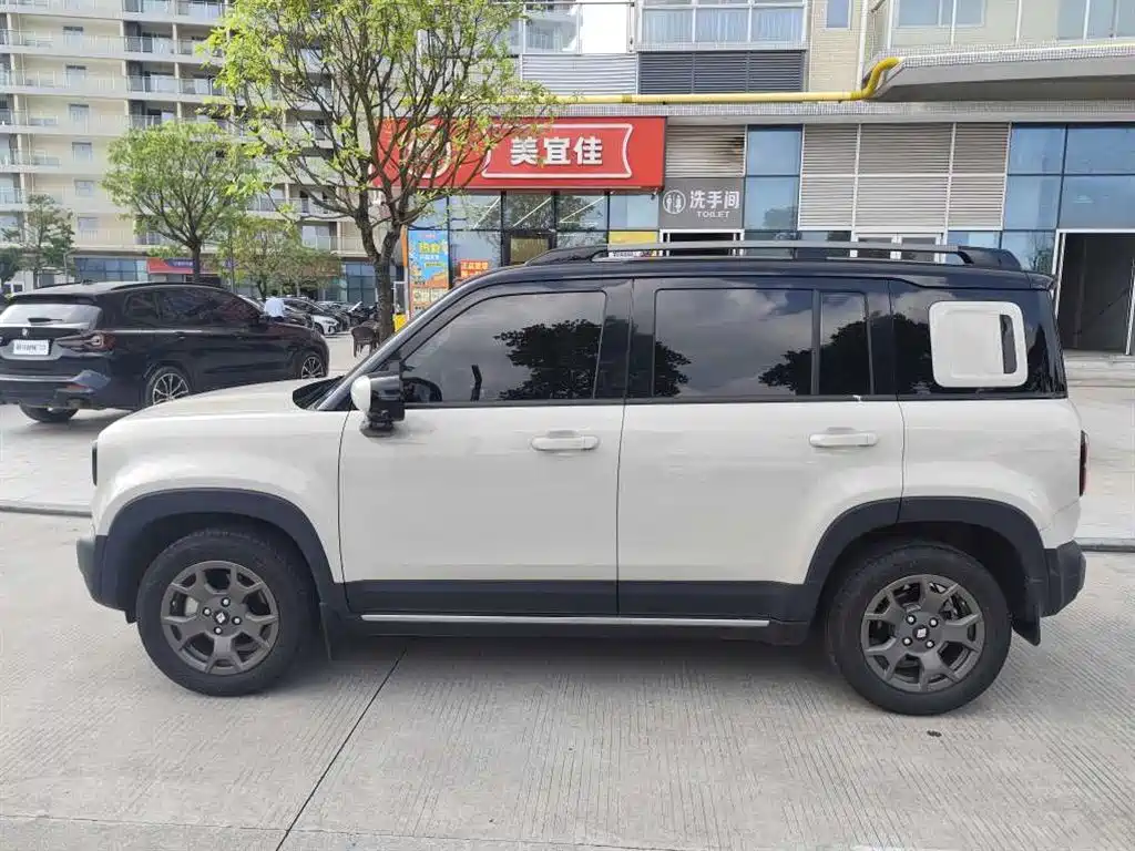 Baojun Yueye Plus 2025 2026 301km Flagship