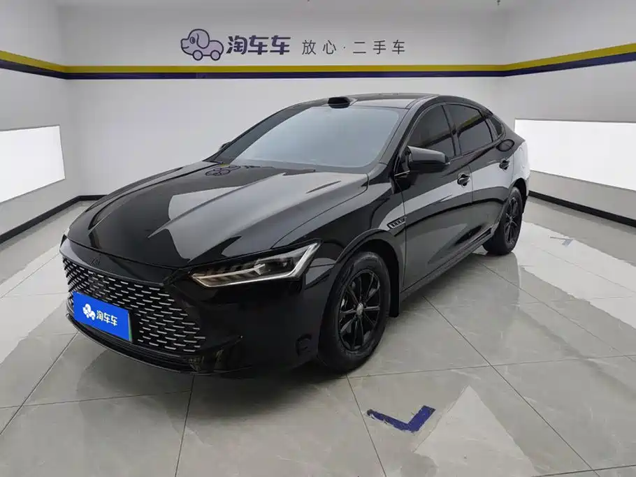 BYD Qin PLUS 2024 Glory Edition DM-i 55KM Leading