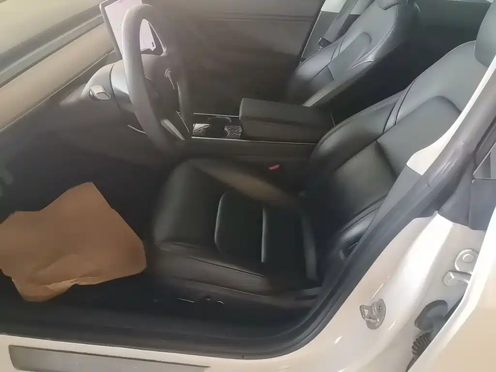 Tesla Model 3 2020 2020 Facelift Standard Range RWD Upgrade