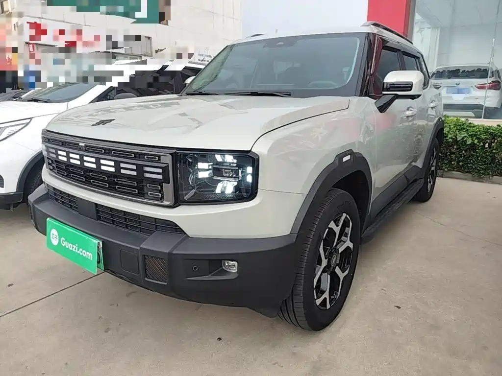 Jetour Shanhai T1 2025 Model Year 226km Crosser