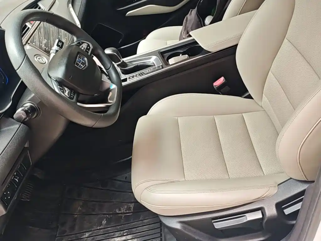 Фото 8 - Geely Binrui