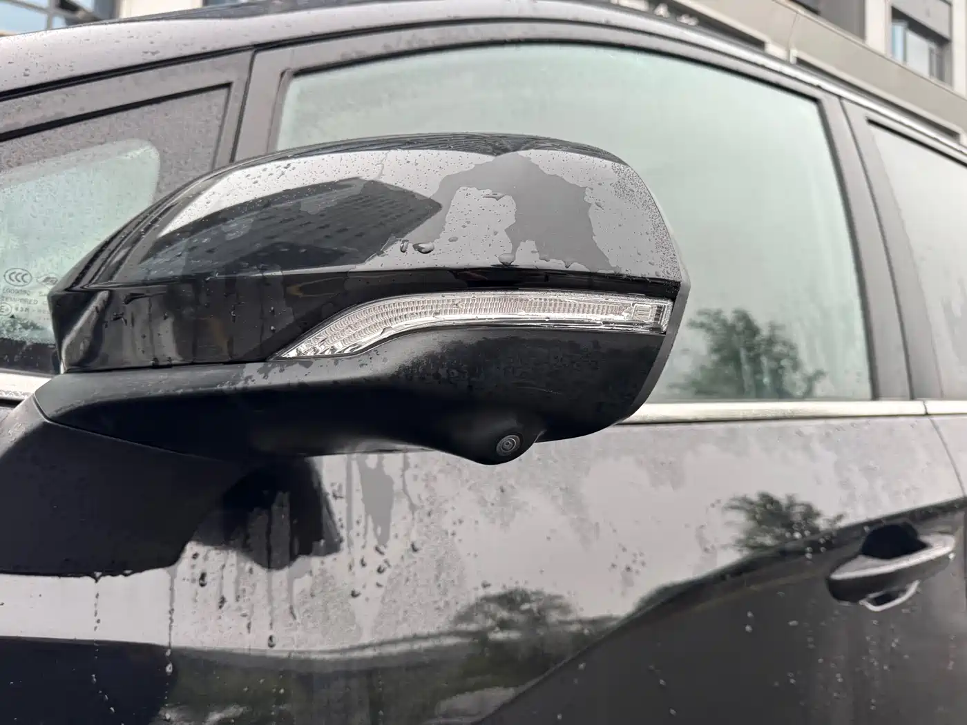 SAIC MAXUS CHASE G50