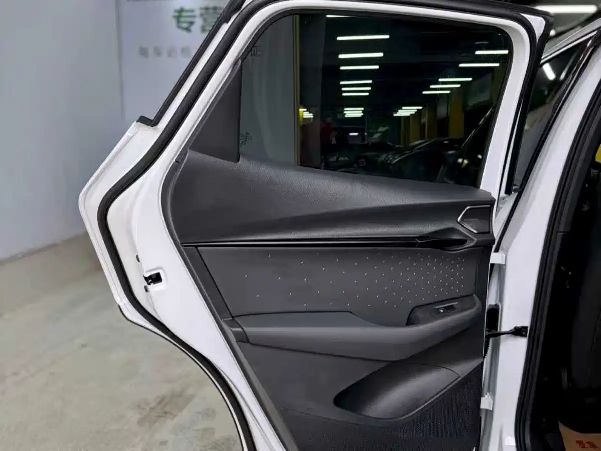 VOLKSWAGEN WITH THE CROWD 06