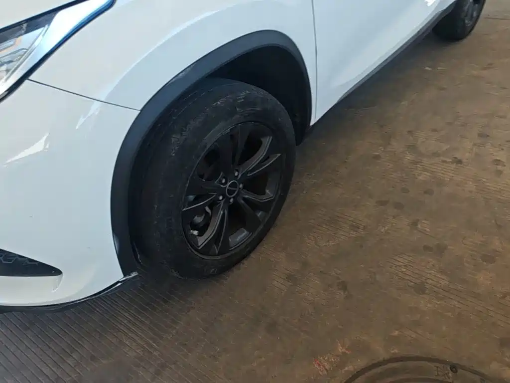 Exeed TX 2022 2021 1.6T 2WD Super Power 3