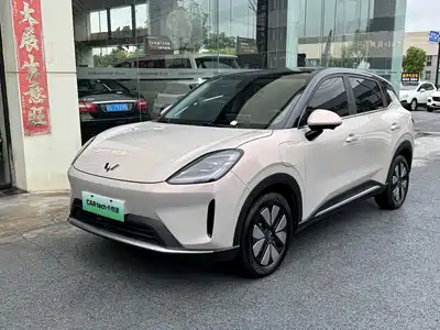 Wuling Bingo S