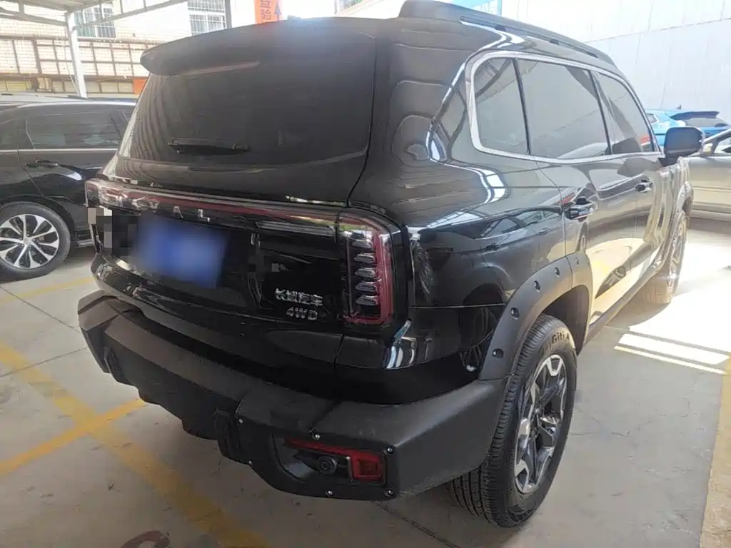 Haval Dargo 2024 2024 2.0T DCT Chinese Rural Dog Edition