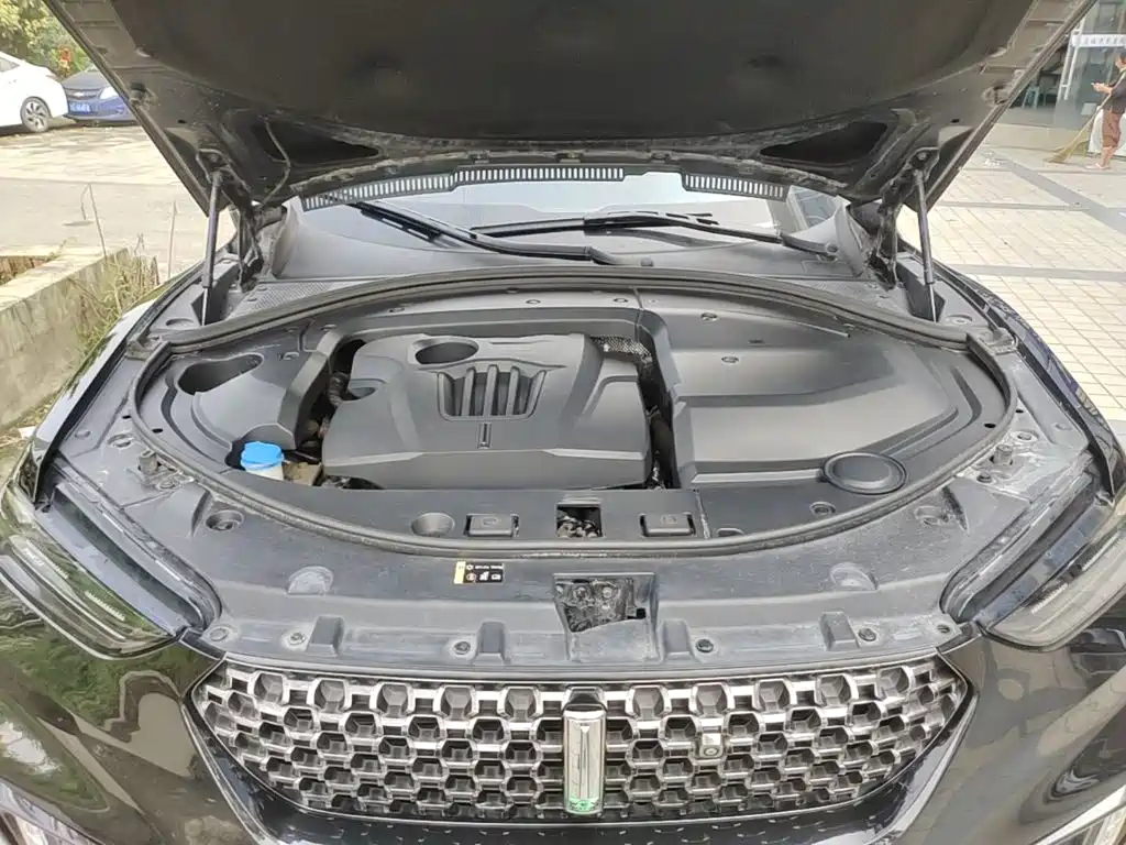 WEY VV7 2020 2020 2.0T Super Luxury