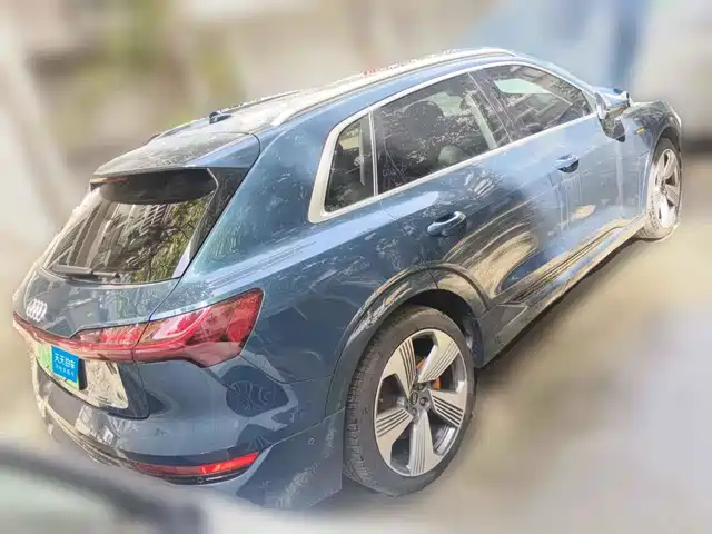 Audi e-tron (Import) 2019 55 quattro Fashion — фото 2