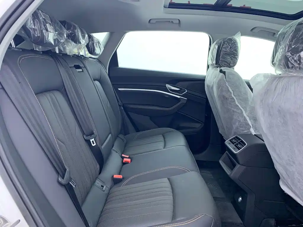 Audi e-tron 2026 2021 50 quattro Luxury
