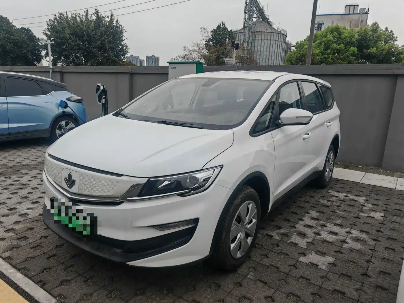 RUILAN AUTOMOBILE MAPLE LEAF 80V L