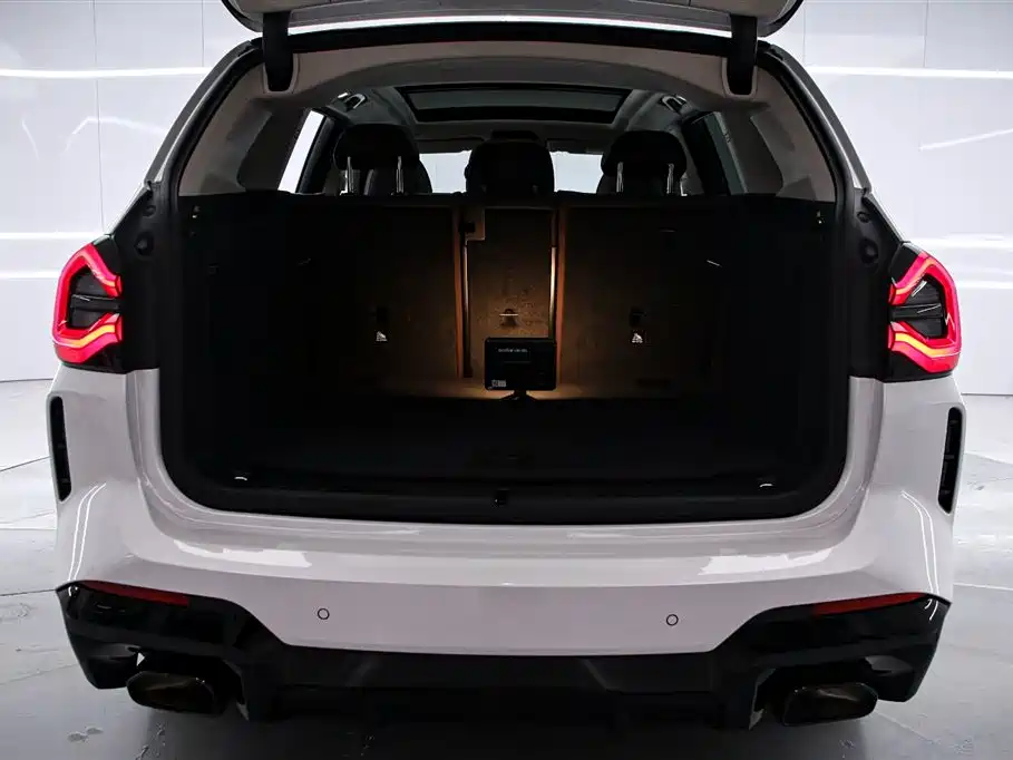 BMW X3 2022 xDrive30i Leading M Night Package фото 15