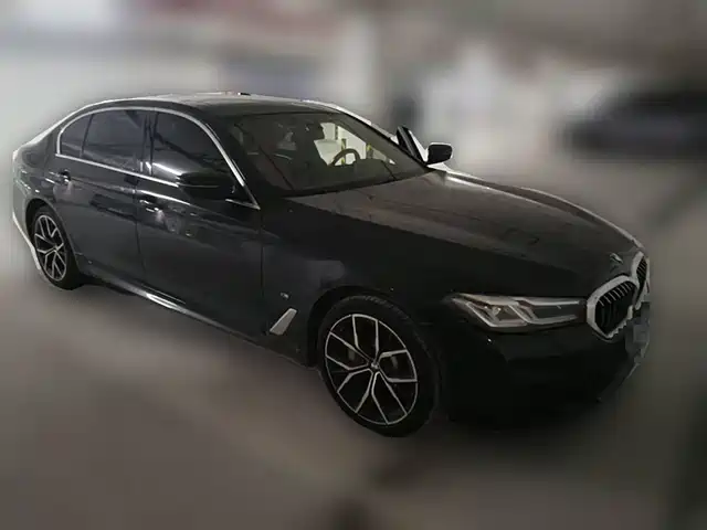 BMW 5 Series 2021 530Li Premium M Sport Package — фото 3