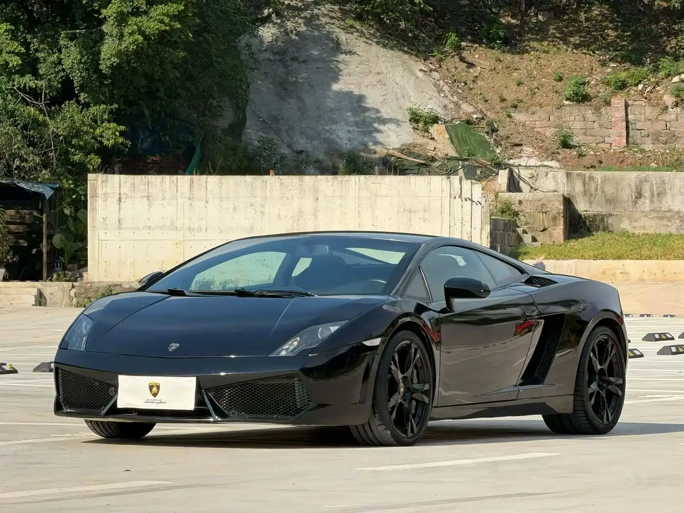 Lamborghini Gallardo 2008 2008 LP 560-4
