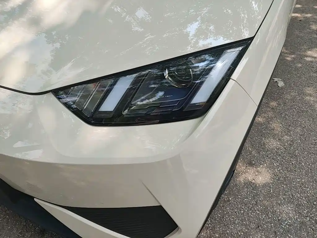 BYD Seagull 2026 2025 305km Vitality
