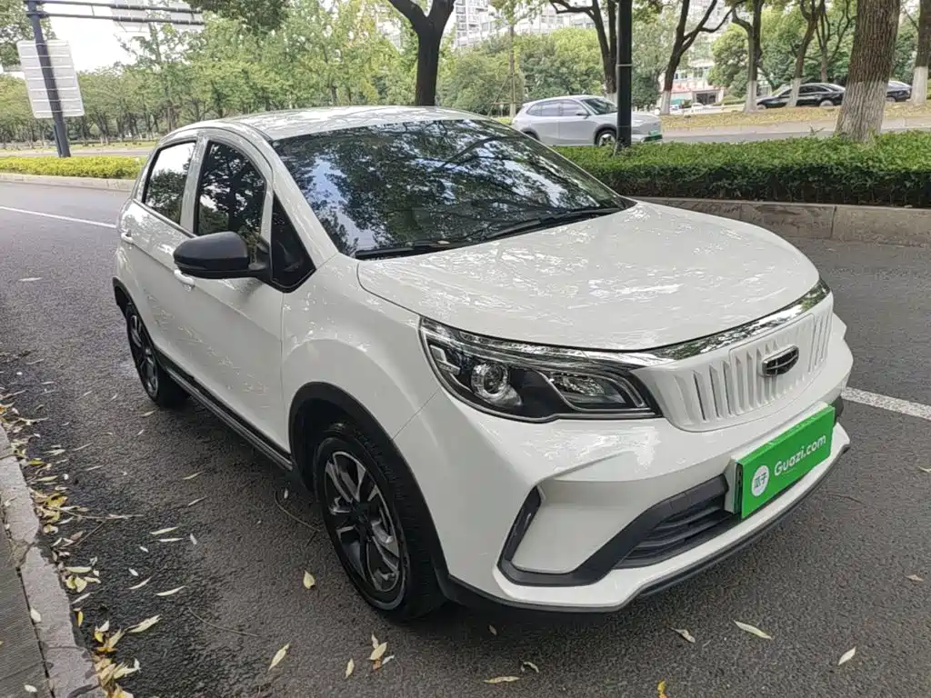 Geely Geometry EX3 Kung Fu Bull 2022 2021 Strong Bull