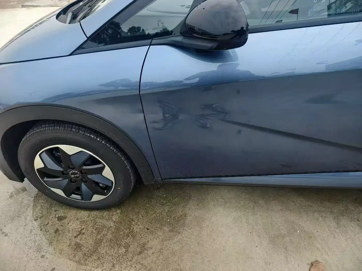 BYD Dolphin 2026 2025 420km Freedom Edition