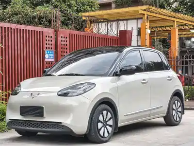 Wuling Bingo