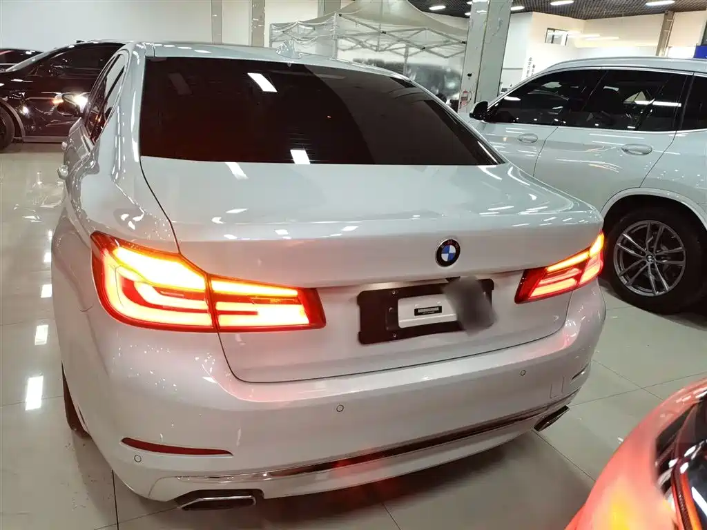 BMW 5 Series New Energy 2020 530Le Range Upgrade Pioneer Edition фото 5