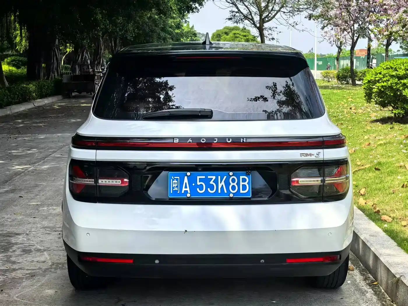 BAOJUN RM 5