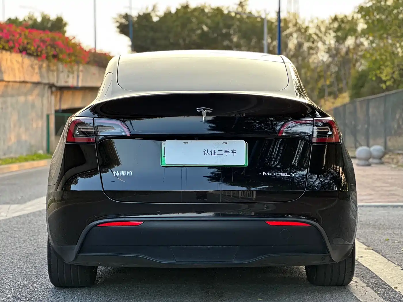 TESLA MODEL Y