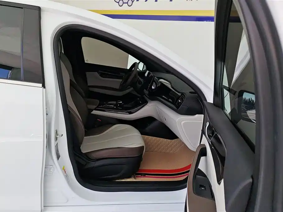 BYD Qin PLUS 2024 Glory Edition DM-i 55KM Leading фото 8