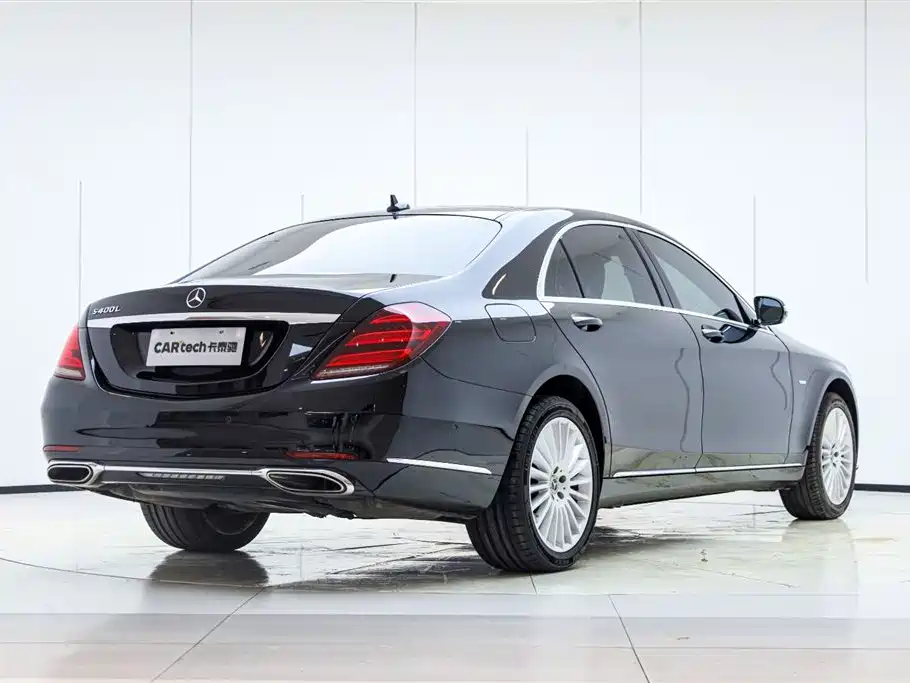 Mercedes-Benz S-Class 2020 S 350 L Business Edition Collector's Version фото 6
