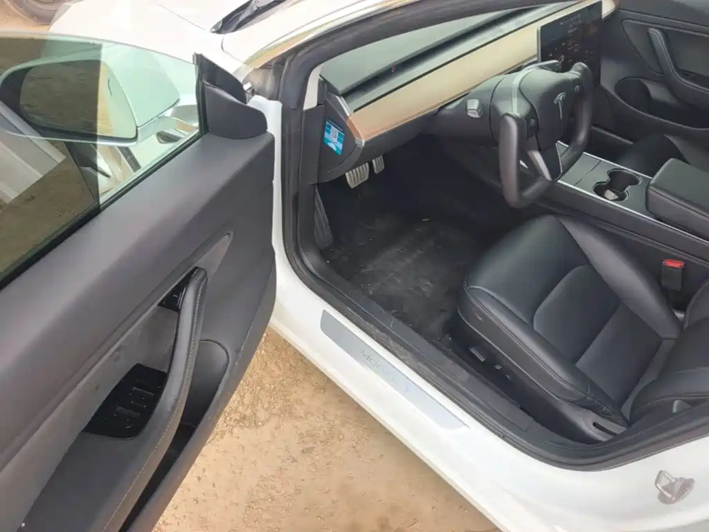 Tesla Model 3 (Import) 2019 2019 Performance High-Efficiency All-Wheel Drive Version