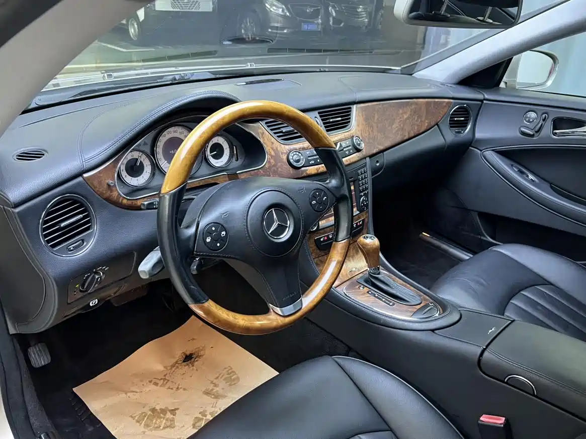 Mercedes-Benz CLS 2009 CLS 300 фото 8