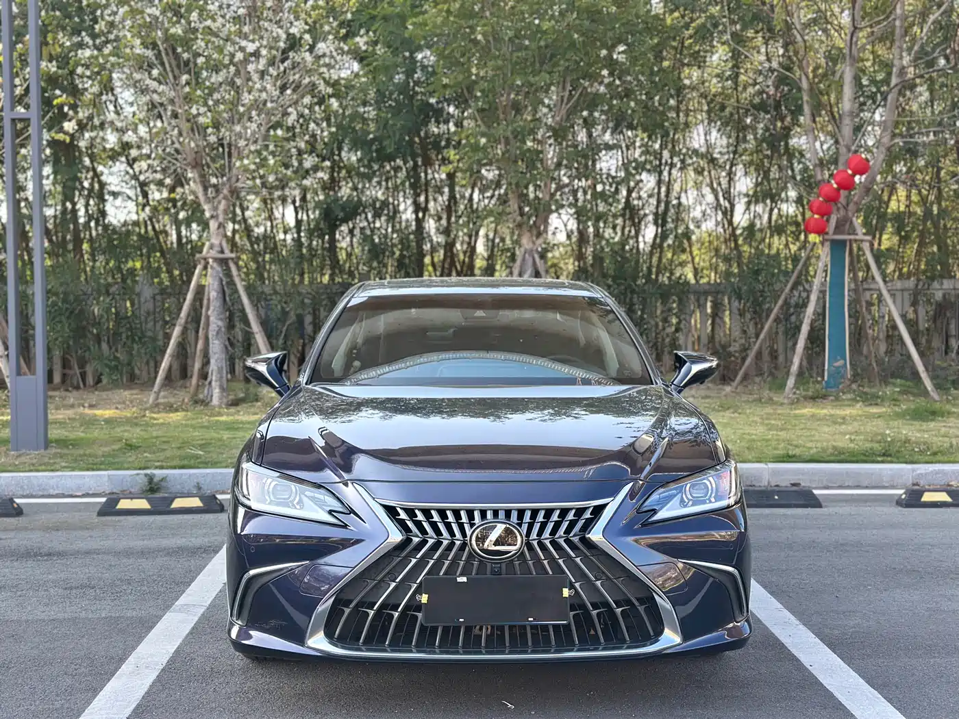 Lexus ES 2020 200 Excellence фото 2