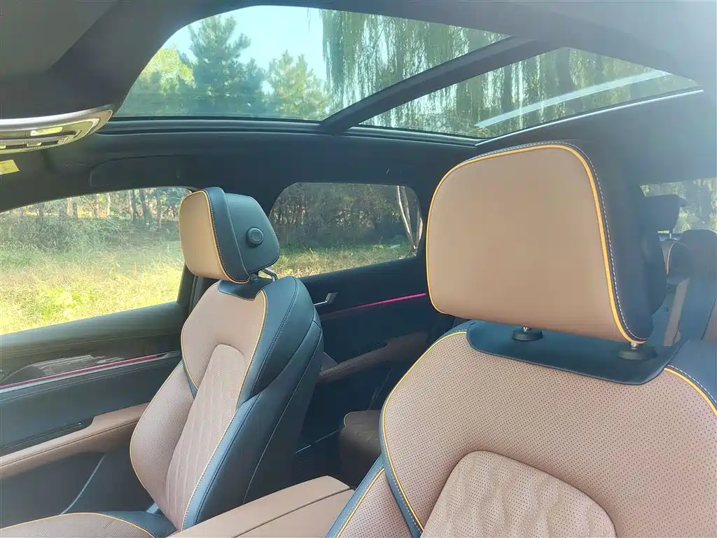 BYD Tang New Energy 2021 DM-i 112KM Honor фото 9