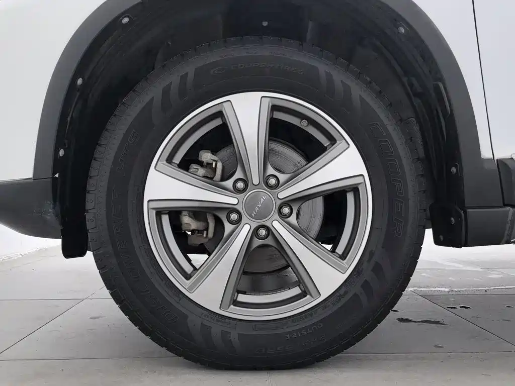 Фото 17 - Haval H6