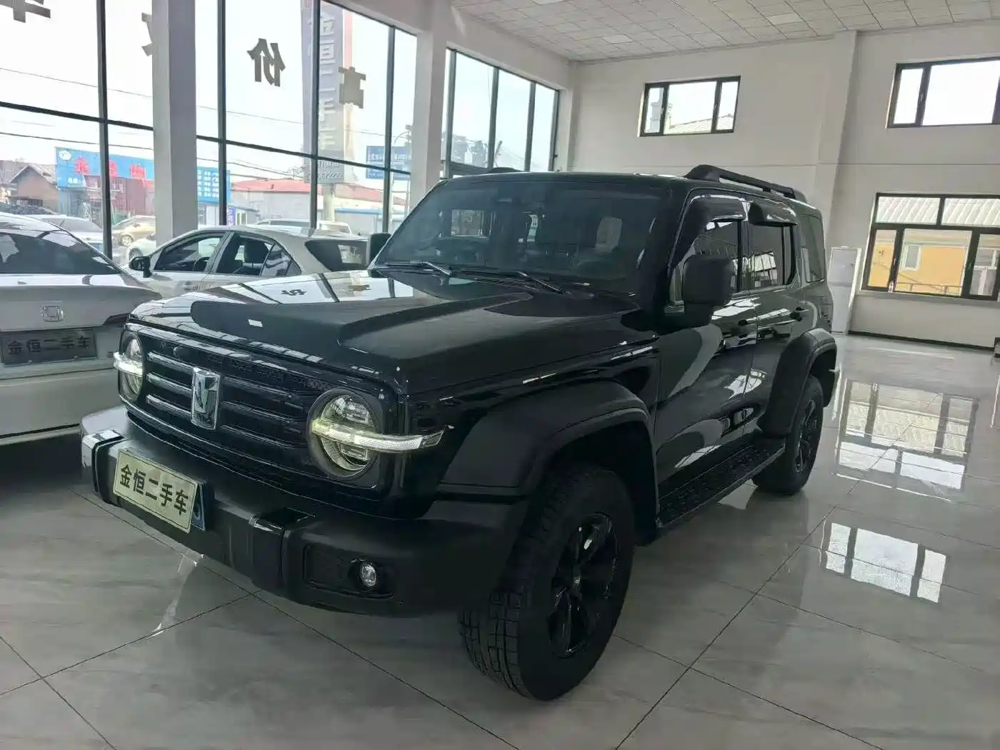TANK 300