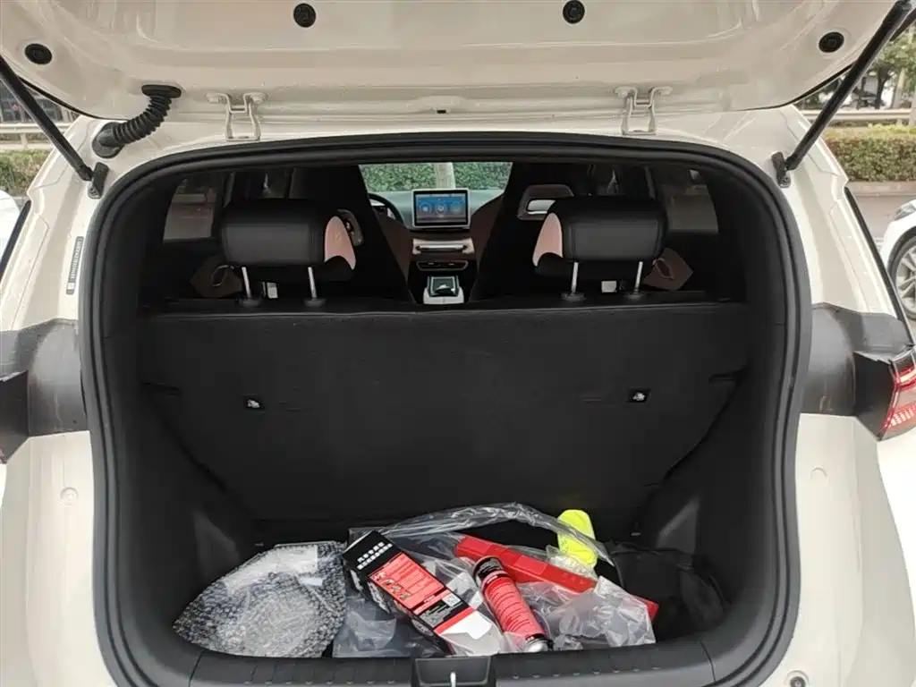 BYD Seagull 2024 Glory Edition 305km Freedom Edition фото 19